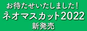 ネオマスカット2022新発売